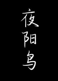夜阳鸟夜阳鸟