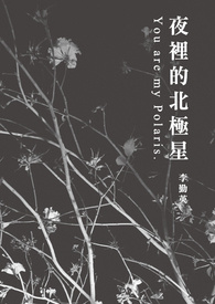 夜里的北极星夜里的北极星