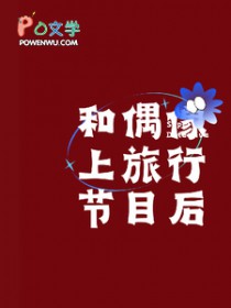 和偶像上旅行节目之后和偶像上旅行节目之后